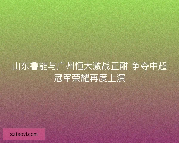 山东鲁能与广州恒大激战正酣 争夺中超冠军荣耀再度上演